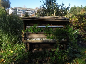 When a piano is past its prime...use it as a trellis!