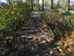 The little bridge - where once a stream flowed. Strathcona Park