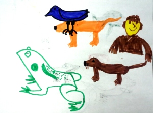 animal_drawings